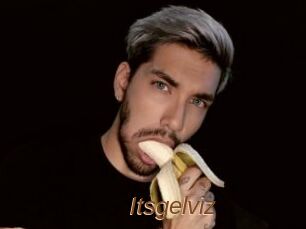 Itsgelviz