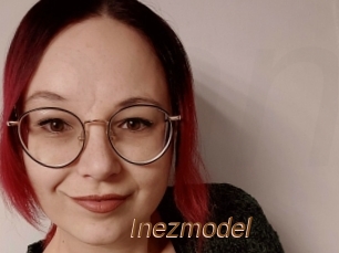 Inezmodel