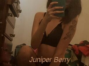 Juniper_Berry