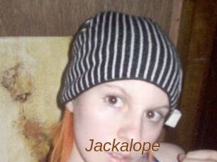 Jackalope