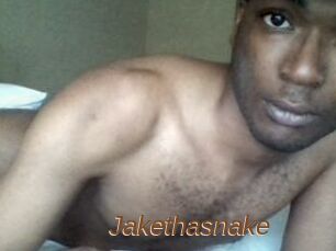 Jake_tha_snake