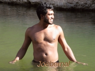 Joebernal