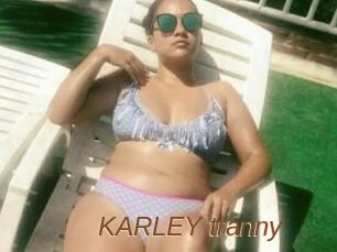 KARLEY_tranny