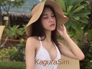 KaguraSim