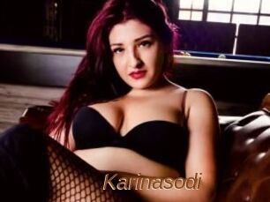 Karinasodi