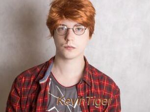 KevinTiger