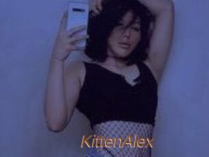 KittenAlex