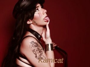 Kamicat