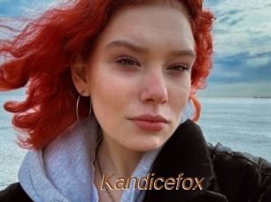 Kandicefox