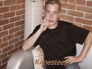 Kanesteep