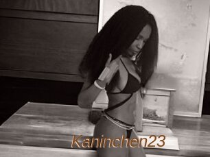 Kaninchen23