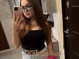 Karinamikus