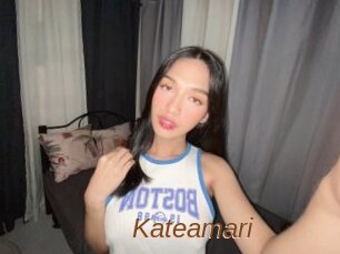 Kateamari