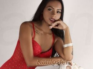 Kattfoster