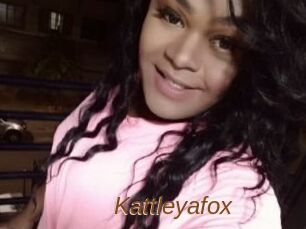 Kattleyafox