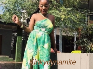 Kinkydynamite
