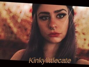 Kinkylittlecate