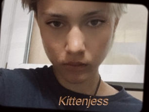 Kittenjess