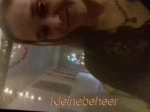 Kleinebeheer