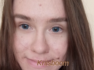 Kriisboom