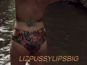 LIZPUSSYLIPSBIG