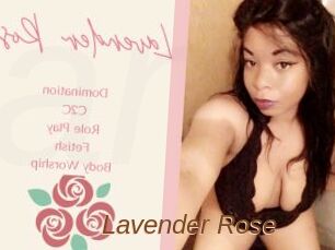 Lavender_Rose