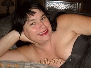 Lilly377