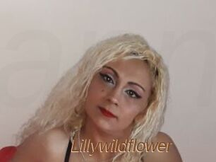 Lillywildflower