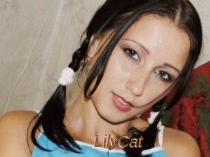 Lily_Cat_