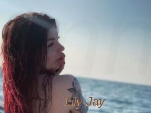 Lily_Jay