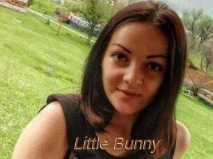 Little_Bunny_