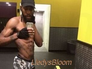 Lledys_Bloom