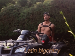 Latin_bigcrazy
