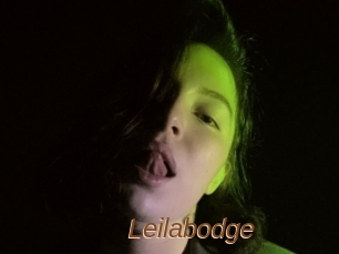 Leilabodge