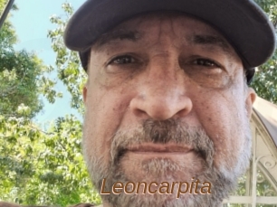 Leoncarpita