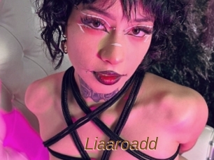 Liaaroadd