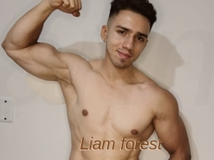 Liam_forest