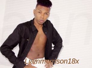 Liammorrison18x
