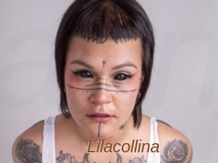 Lilacollina