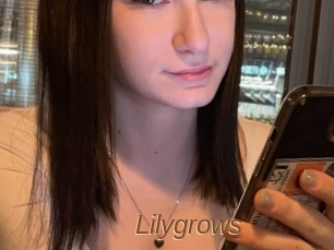 Lilygrows