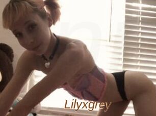 Lilyxgrey