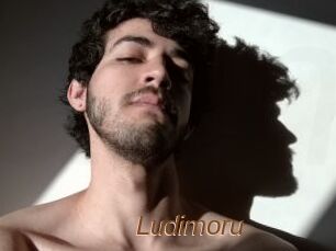 Ludimoru