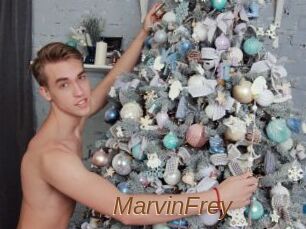 MarvinFrey