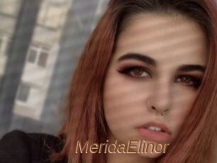 MeridaElinor