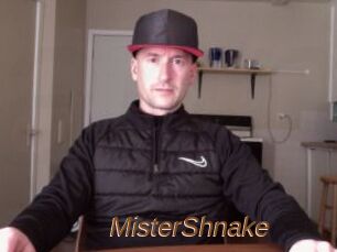 MisterShnake