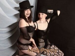 MollyPoppy