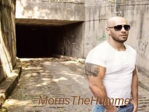 MorrisTheHumme