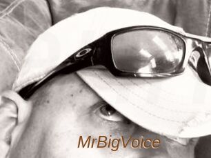 MrBigVoice