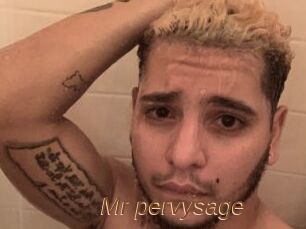 Mr_pervysage
