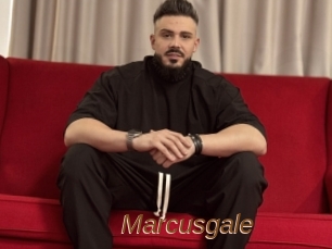 Marcusgale